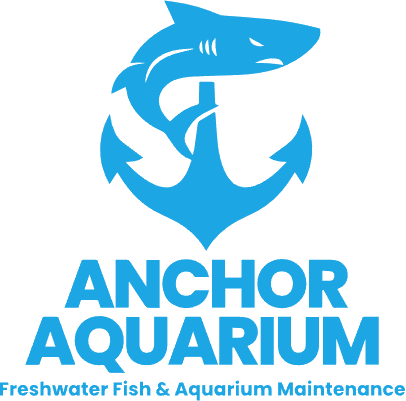 Anchor Aquarium