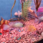 20241012 094823 1152x1536