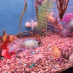 20241012 094824 768x1024