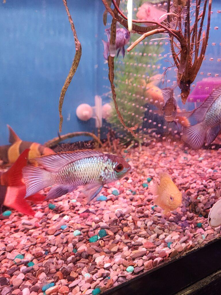 20241012 094824 768x1024