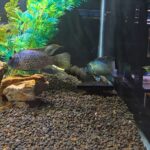 20260320 173357 1(1)